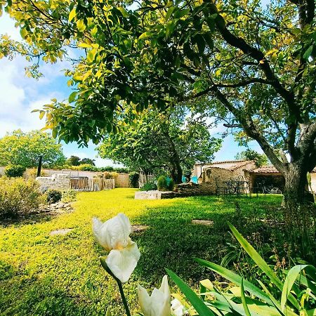 Gite 3 Etoiles Avec Spa, 2 Chambres Le Logis De Pearl Salles-sur-Mer Εξωτερικό φωτογραφία