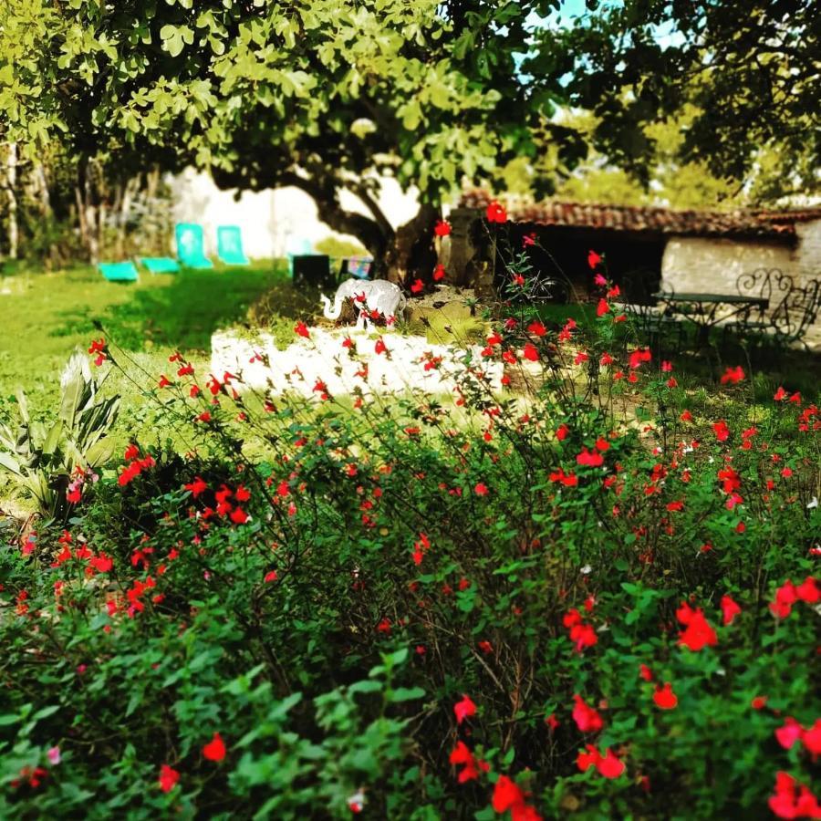 Gite 3 Etoiles Avec Spa, 2 Chambres Le Logis De Pearl Salles-sur-Mer Εξωτερικό φωτογραφία